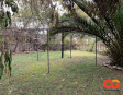 Venta, Arriendo, Oficina, Casa, Providencia, Empresa, Bellavista, Corredora de Propiedades, Abogada, AmadeiGarcia, A&amp;G, AG, Consultora, Inmobiliaria, Bienes, Raíces, Inversión, Gigliola Amadei, Patricia Garcia