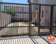 Arriendo, casa, Buin, Corredoras de propiedades, Gigliola Amadei, Patricia García, amadeigarcia, Consultoría, Inmobliaria
